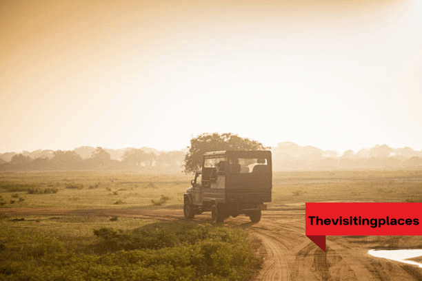 Yala National Park
