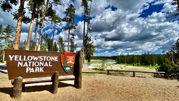 Yellowstone National Park (WY/MT/ID)