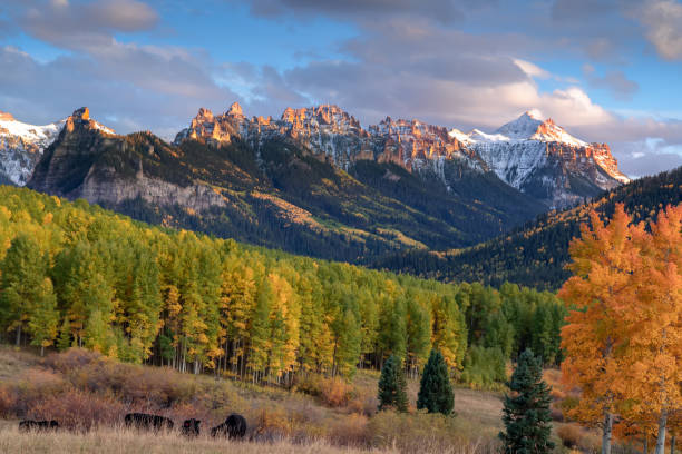 colorado