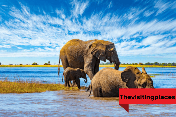 Chobe National Park