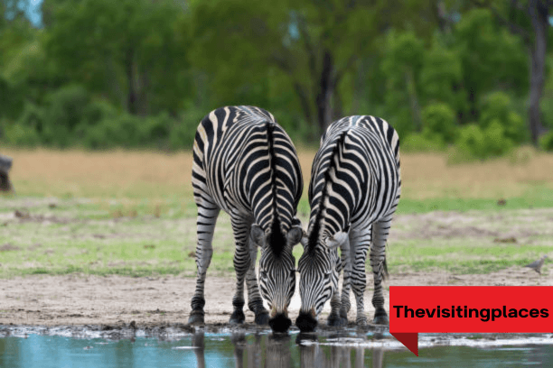 Hwangwe National Park